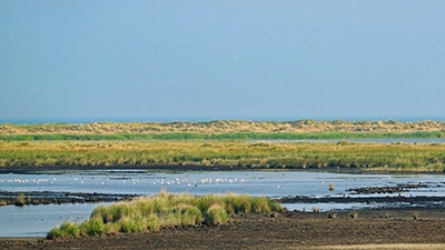 Natur und Vögel beaobachten Natur und Vögel beaobachten